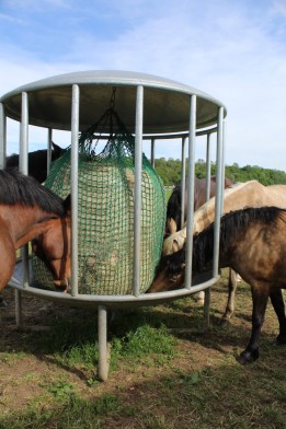  Hay rack