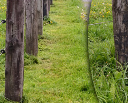 Post mower 3