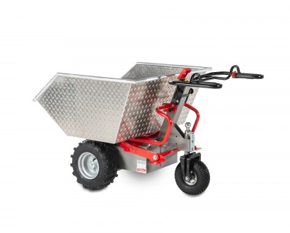 TeMax small