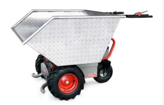 Electric transporter