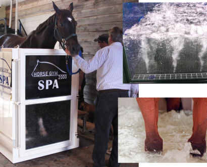 Spa small