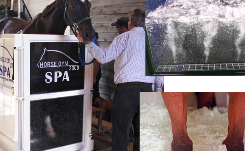 Spa 1