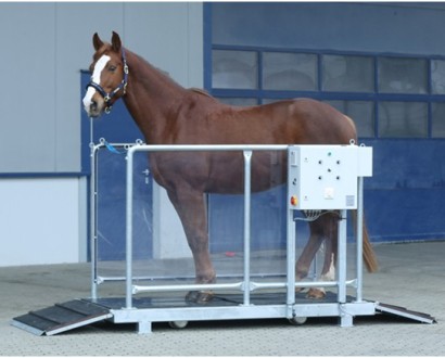 Vibration plate small