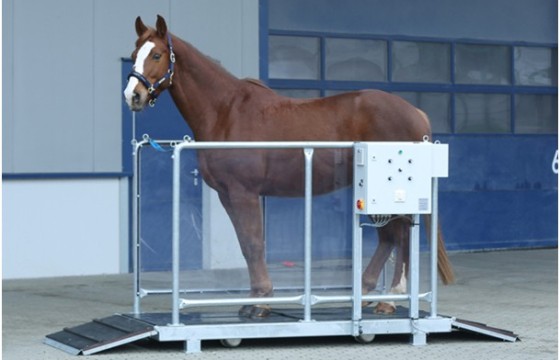 Vibration plate