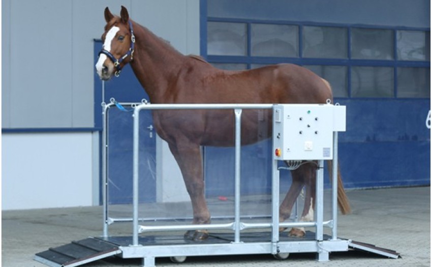 Vibratie trilplaat 1