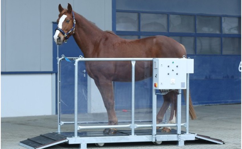 Vibration plate 1