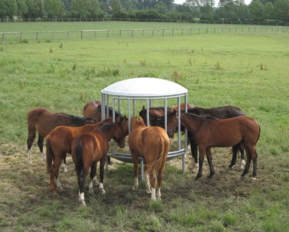 Ronde Hooiruif small