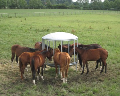 Round hay rack small