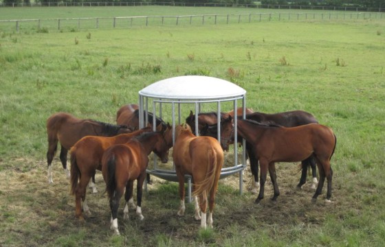 Round hay rack
