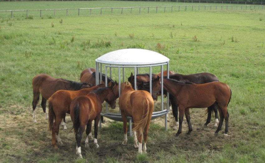 Round hay rack 1