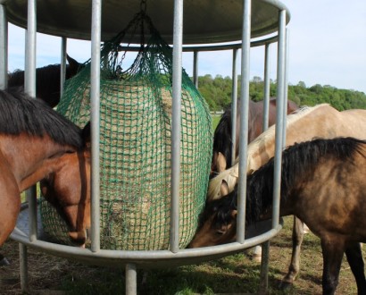 Round hay rack 5